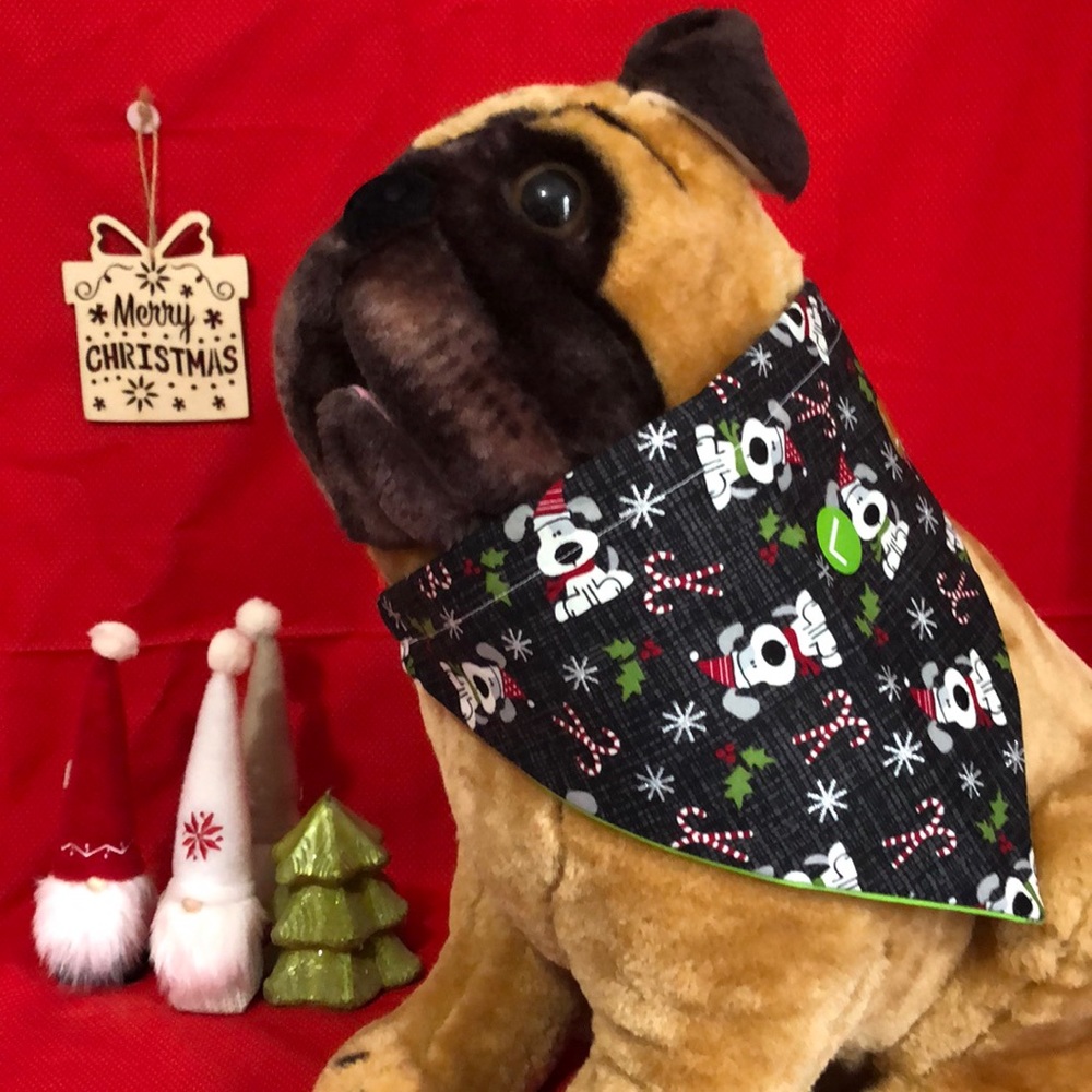 Pet bandanna